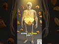 🔥 💀 𝐀𝐭𝐞 𝐉𝐮𝐧𝐤 𝐅𝐨𝐨𝐝 𝐄𝐯𝐞𝐫𝐲 𝐃𝐚𝐲… 𝐓𝐡𝐢𝐬 𝐇𝐚𝐩𝐩𝐞𝐧𝐞𝐝! 🍔⚠️