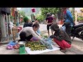 Selling pigs, Harvesting pure wild fruit on Ha Giang plateau go to the market to sell, Vàng Hoa