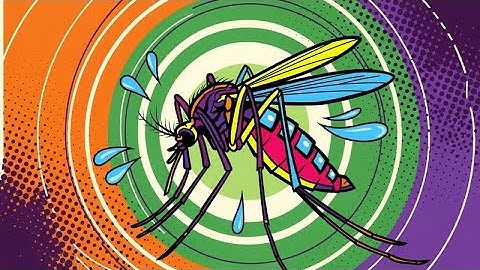 HCDC | 6 dấu hiệu nguy hiểm của bệnh sốt xuất huyết