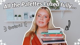 All The Palettes I Have Used// Quarter 2// No Pan Left Behind