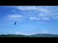 この蒼い空を