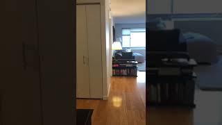 555 West 23rd Street Apt. N8J | 670 Sqft 1BR w/ Washer Dryer | Available 6/15/21