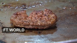 Horse meat crisis hits food industry