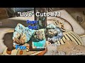 Opal Turquoise & Variscite Replay SirRocksAlot live #71 Cut Shape & Polish #rocks #art #nature #live