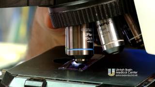 UBMC - Lab