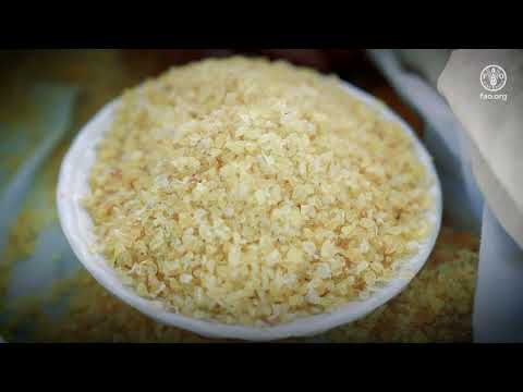 Traditional Agriculture in Ecuador: A Living Heritage