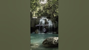 سورة التكاثر  Surah At-Takathur القرآن الكريم #راحة_نفسية 102 #القران