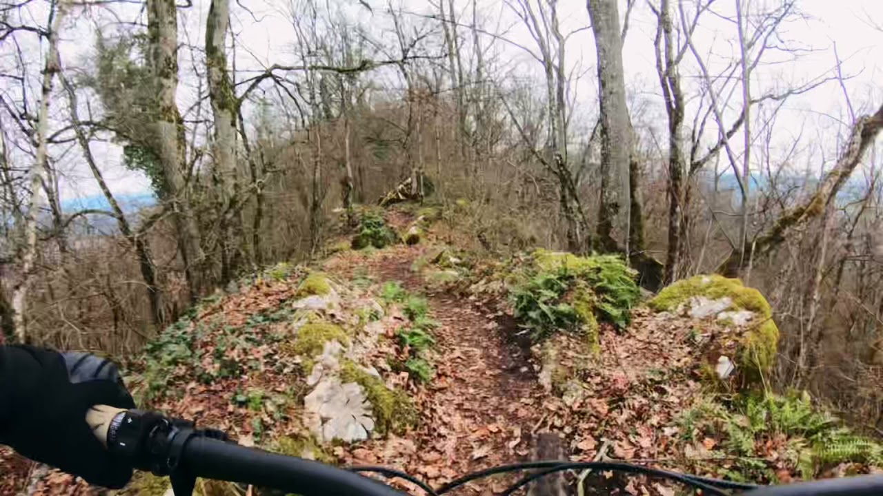 🟥 Chestenberg Trail, Lupfig🇨🇭