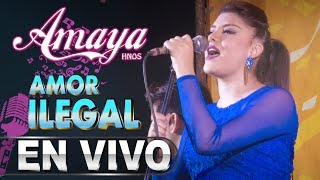 Amor ilegal Amaya Hnos Concierto 2018 HD chords