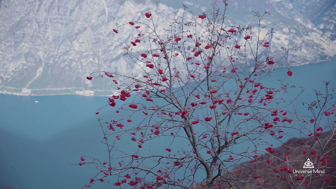 Watch 'Samatha', by Universe Mind - Relaxing Music, Meditation, Sleeping, Studying, Stress Relief on YouTube Watch 'Samatha', by Universe Mind - Relaxing Music, Meditation, Sleeping, Studying, Stress Relief on YouTube