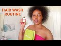 Hair Wash day routine/How to pre-poo natural hair/Beginner friendly •| Eva Soila vlogs |•