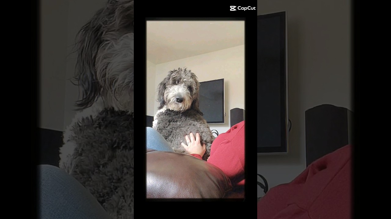 I love spending time with you 