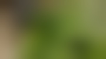 Gumps Greenhouse ( smartpot scrog update )