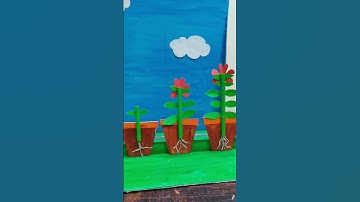 Plant life cycle working model