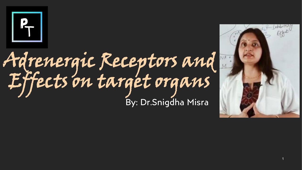 Sympathetic System l Adrenergic Receptors And Actions On Target Organs l Dr Snigdha Misra