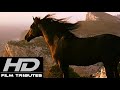 The Black Stallion • Soundtrack Suite • Carmine Coppola