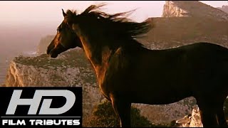 The Black Stallion Theme • Carmine Coppola