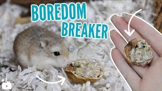 DIY Hamster Boredom Breaker treat!