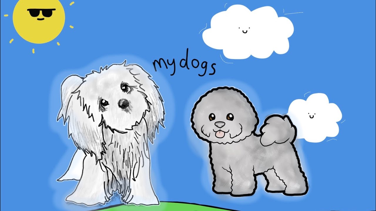 Why my dogs are messed up