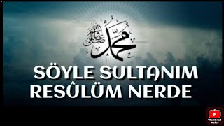 İlahi /SÖYLE SULTANIM RESÛLÜM NERDE /Müziksiz İlahiler/ Muhammed Ezgen Resimi