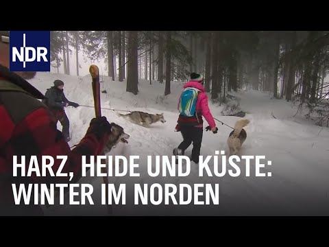 Video: 8 Neue Möglichkeiten, Im Schnee Zu Spielen