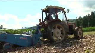 ALTA VALSUGANA: DAL CAMPO ALLA DISPENSA. SANDRO DALLA BRIDA PATATICOLTORE