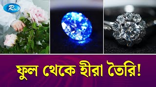 ইতিহাসে প্রথমবার! ফুল থেকে বানানো হচ্ছে মহামূল্যবান হীরা! | Diamonds | Rtv News