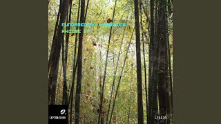 Canopy