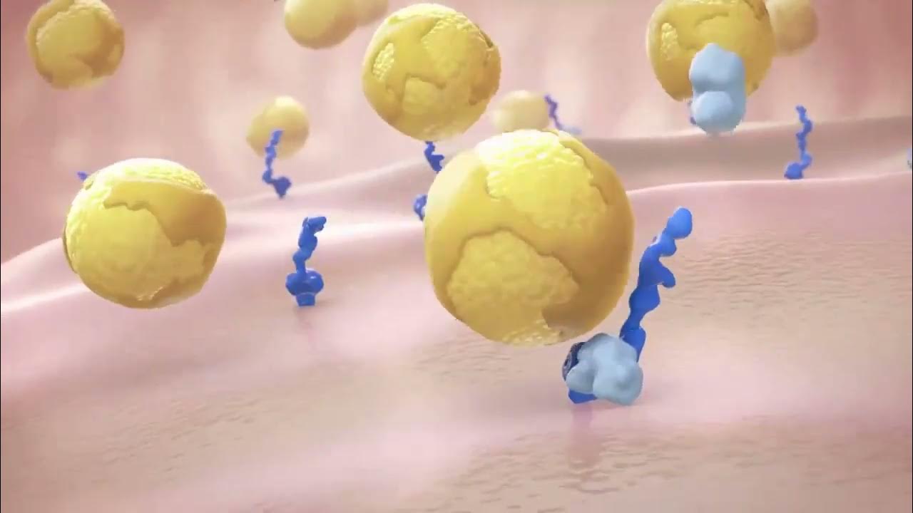 Repatha Evolocumab MOA YouTube