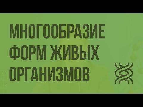 Многообразие форм живых организмов