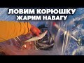 Ловим корюшку и жарим навагу на льду, зимняя рыбалка 2022