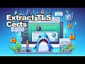 Extract tls certificates using wireshark