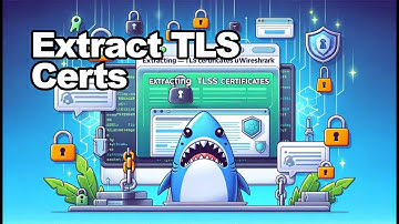 Extract TLS Certificates using Wireshark