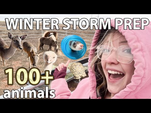 Will they be OK in the Winter Storm? 🥶 😧
