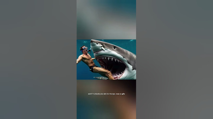 How to survive a shark attack 😱