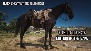 5 Super Fast Horses For Arthur Ft. Black Chestnut Thoroughbred Rdr2