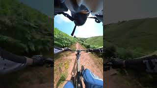 Testing Out The Haibike Allmtn Cfse.