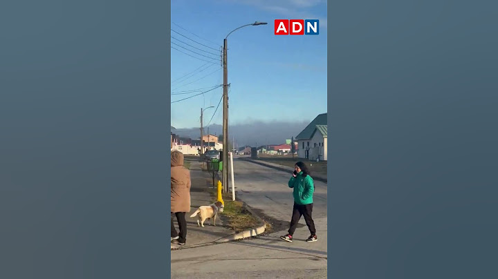 Alerta de tsunami en Chile: habitantes evacúan sector costero de Magallanes tras fuerte sismo