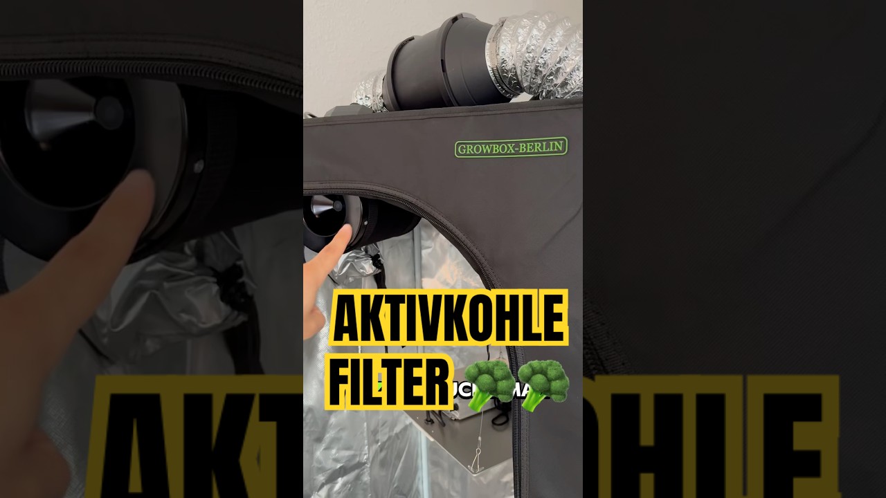 Aktivkohlefilter und Abluftsystem einfach erklärt 