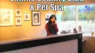 Canine Country Club & Pet Spa - Agassiz