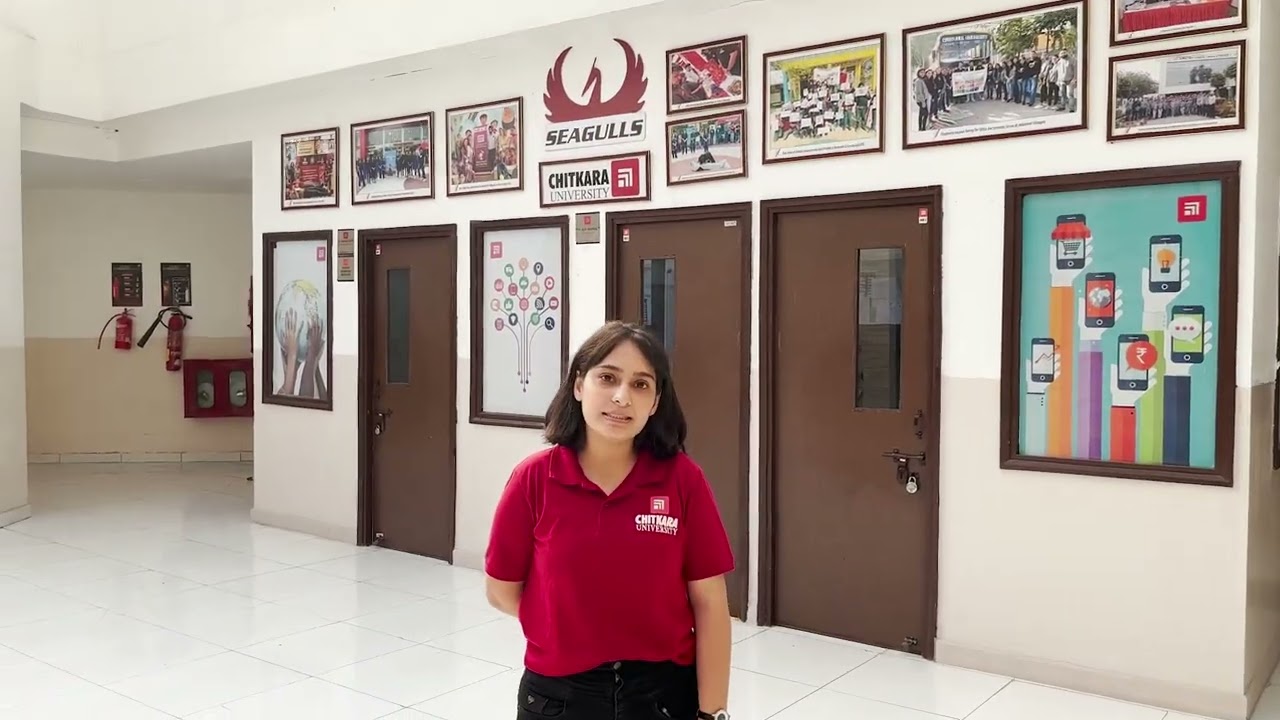 Exploring the potential | A life of MBA student in Chitkara University