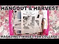 Hangout And Magazine Harvest Images For Collage