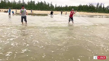 Thu hoạch cá biển | Sa Cần Quảng Ngãi