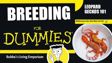 Leopard Geckos 101: Breeding for Dummies
