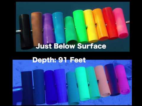 Underwater Color Loss With GoPro 0 to 155 Feet Depth - Fishing Lure Deep Test