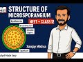 Structure of Microsporangium | Sexual Reproduction in Flowering Plants | NEET &amp; Class 12 Biology
