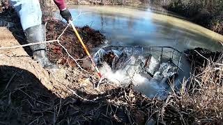 Beaver Dam Removal Culvert Unclogging Compilation | Just the Water Flowing