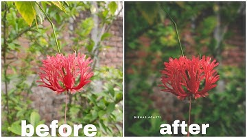 FLOWER EDITING TUTORIAL|| SNAPSEED || SNAPSEED EDITING ||