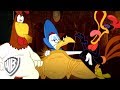 Looney Tunes in italiano | La Storia Di Garlo Gallo | WB Kids