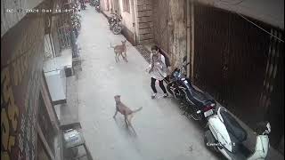 Ye Dhampur Dist Bijnor Me Phal Chowck Ke Pas Daily Ka Scene Hai